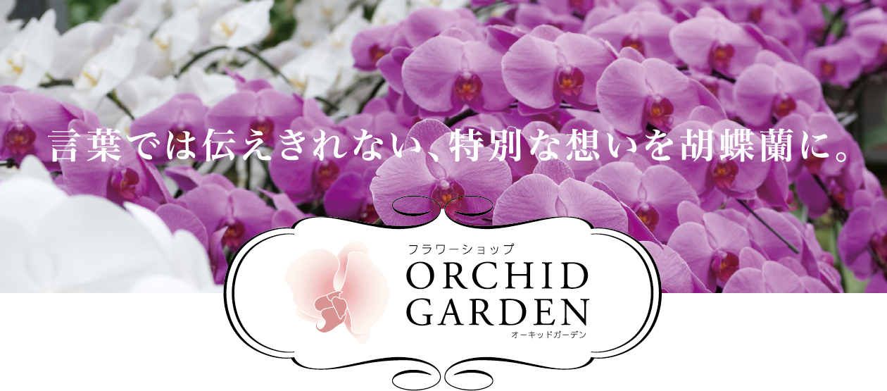 言葉では伝えきれない、特別な想いを胡蝶蘭に。